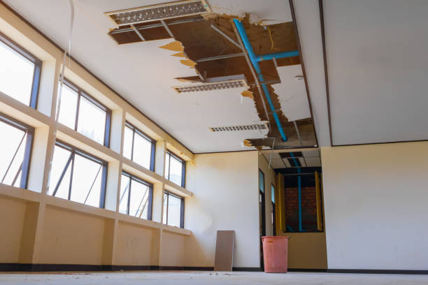 Best Flooded house restoration  in North Plainfield, NJ