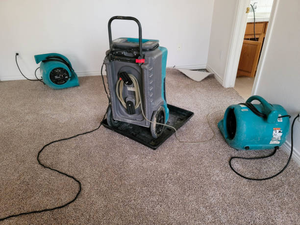 Best Local water damage restoration  in North Plainfield, NJ