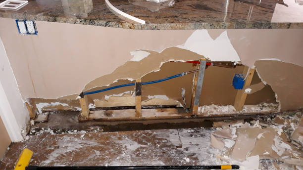 Best Water damage contractors near me  in North Plainfield, NJ