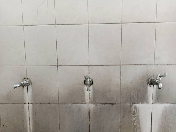 Best Flood damage cleanup  in North Plainfield, NJ