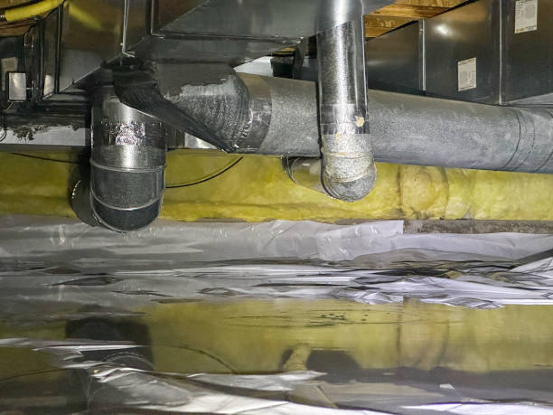 Best Water damage restoration near me  in North Plainfield, NJ