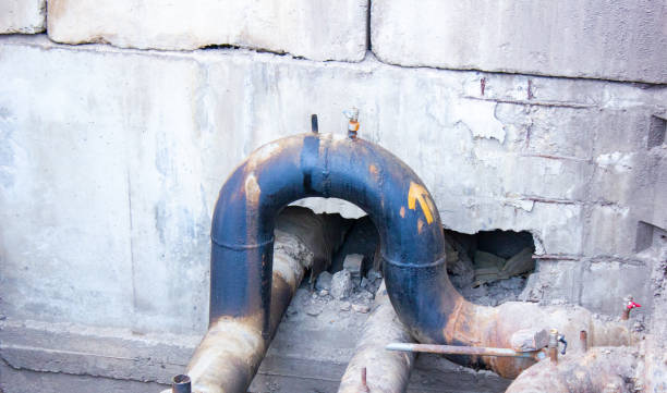 Best Carpet water damage restoration  in North Plainfield, NJ
