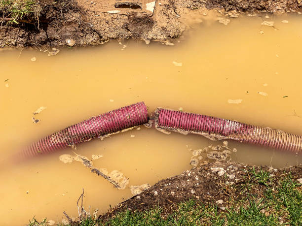 Best 24-hour water damage restoration  in North Plainfield, NJ