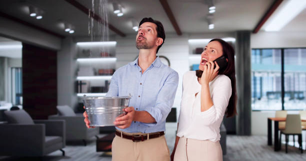 Best Commercial water damage restoration  in North Plainfield, NJ