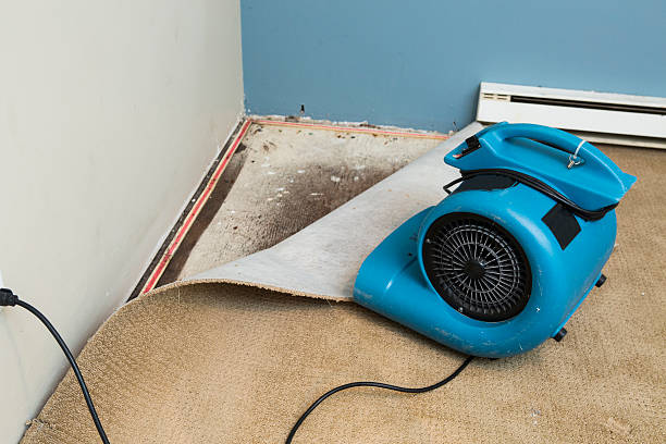 Best 24-hour water damage restoration  in North Plainfield, NJ